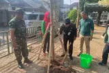 Sudin Tamhut Jakarta Barat Tanam 649 Pohon Pelindung untuk Tekan Polusi