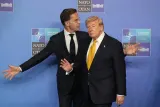 Trump Pangkas Tarif Impor Daging Sapi Picu Kekhawatiran Peternak AS