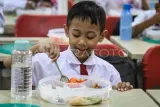Perkembangan Uji Coba Program Makan Bergizi Gratis di Berbagai Daerah