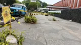 Pemkot Bandung Usut Dugaan Keterlibatan ASN dan Swasta dalam Penebangan Pohon Ilegal di Jalan Riau