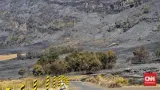 Kebakaran Savana Gunung Bromo, Luas Lahan Terdampak dan Kendala Pemadaman