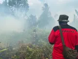 BNPB Siapkan Operasi Modifikasi Cuaca untuk Tangani Karhutla di Kalimantan dan Sumatera