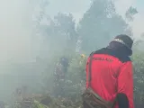 62 Sekolah di Pelalawan Riau Diliburkan Akibat Kabut Asap Karhutla