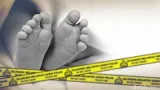 Misteri Temuan Jasad Bayi Laki-laki di Tumpukan Sampah Pinggir Sungai Binjai