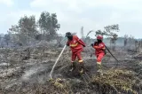 Petugas Manggala Agni Padamkan Kebakaran Lahan Gambut di Tanjung Jabung Timur