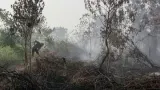 Bareskrim Polri Buru Pemodal di Balik Kebakaran Hutan di Kalimantan