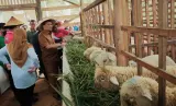Pemprov Jateng Ubah Lahan Tidur Belasan Tahun Jadi Produktif Melalui Program Revola