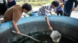 Sistem Tertutup Tambak Udang Vaname Mulai Dikembangkan di Kawasan Industri Semarang