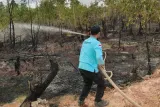 Tim Gabungan Kendalikan Kebakaran Hutan dan Lahan Seluas 12,5 Hektare di Bengkalis