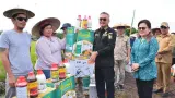 Program PESAT Malinau Buka Lapangan Kerja Baru Lewat Sektor Pertanian