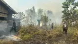 BMKG Deteksi 1.923 Titik Panas di Papua Tengah, Terbanyak di Nabire