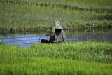 Petrokimia Gresik Hadirkan Inovasi GladiAgro untuk Pulihkan Kesuburan Tanah Pertanian