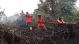 Istana Bantah Tunjuk Haji Isam Jadi Koordinator Penanganan Karhutla Kalimantan