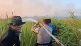 Kebakaran Lahan di Way Kambas Lampung Padam, 200 Personel Gabungan Dikerahkan