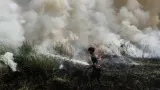 Kesaksian Aktivis, Sumber Api Karhutla Diduga dari Pembukaan Lahan