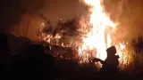 Kebakaran di Gunung Arjuno-Welirang, 334 Hektare Lahan Hangus