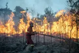 Bareskrim Polri, Mayoritas Karhutla Sengaja Dipicu untuk Buka Lahan Sawit