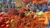 Harga Cabai Rawit Merah Naik Menjadi Rp70.450 per Kg