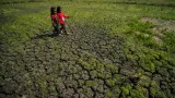 Kekeringan di Gunungkidul, Warga Dusun Kemesu Terpaksa Jual Ternak demi Beli Air Bersih