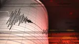 Gempa Susulan di NTT Capai 7.492 Kejadian, Korban Tewas Tercatat 103 Orang