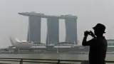 Asap Karhutla Sampai Negara Tetangga, Ini Respons Istana
