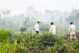 Polri, 62 Persen dari 64 Ribu Hektare Lahan Terbakar Berhasil Dikendalikan