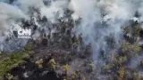 Kabut Asap Selimuti Palangka Raya, Warga Alami Batuk Parah