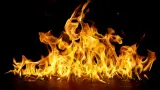 Lahan Kosong di Kebon Jeruk Terbakar, Diduga Dipicu Anak-anak Bakar Sampah