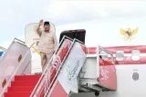 Prabowo Tinjau Penanganan Gempa NTT