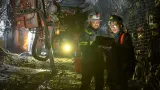 PT Freeport Indonesia Kembangkan Blok Tambang Kucing Liar Senilai Rp 72 Triliun di Papua Tengah