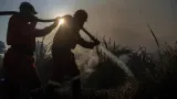 Kebakaran Lahan Melanda Ogan Ilir dan Ogan Komering Ilir, 22 Hektare Hangus
