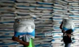 Pupuk Indonesia Tingkatkan Produktivitas Padi di Dairi Hingga Dua Kali Lipat