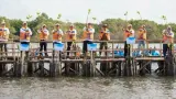 Indonesia Bentengi Pesisir dengan Penanaman Satu Juta Mangrove Serentak