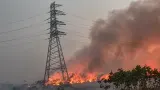 Kemenhub Beri Izin Khusus 35 Pesawat Asing untuk Penanganan Karhutla di Kalimantan