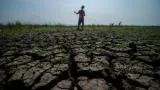 Ketika El Nino Menjadi Ujian Ketahanan Pangan Indonesia