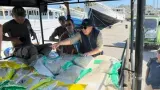 Bulog Pastikan Stok Beras Aman dan Distribusi di NTT Tetap Lancar